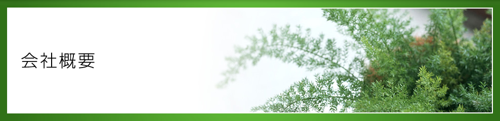 ��ЊT�v | ������Ђs.�q���t�H�[��<�ˌ������ݕ����̓��O����X�ܑ���A��C>